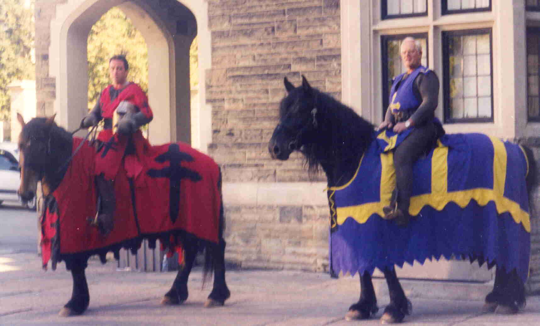 Medieval horse, Horses, Horse costumes